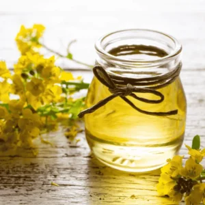 Canola Oil Suppliers Portugal