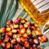 Crude Palm Oil Suppliers Portugal