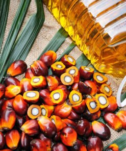 Crude Palm Oil Suppliers Portugal
