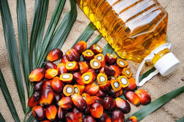 Crude Palm Oil Suppliers Portugal
