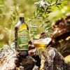 Filippo Berio Olive Oil Suppliers Portugal