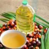 Palm Kernel Oil Suppliers Portugal
