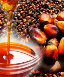 Red Palm Oil Suppliers Portugal