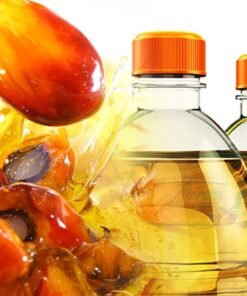 Refine Palm Oil Suppliers Portugal