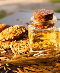 Rice Bran Oil Suppliers Portugal