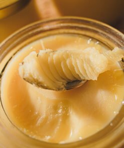 Vegetable Ghee Suppliers Portugal