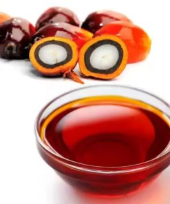 Virgin Palm Oil Suppliers Portugal