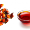 Virgin Palm Oil Suppliers Portugal