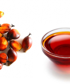 Virgin Palm Oil Suppliers Portugal