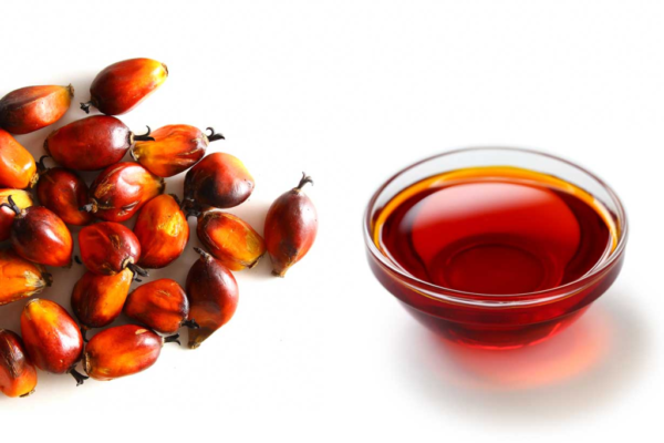 Virgin Palm Oil Suppliers Portugal